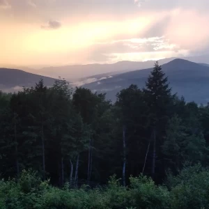 Above the Clouds Above the Clouds